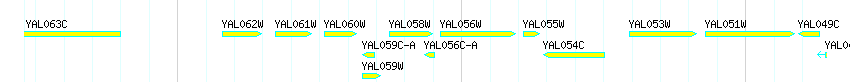 Genes detail