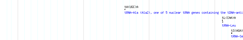 tRNAs detail