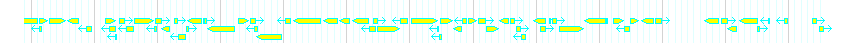 Genes detail