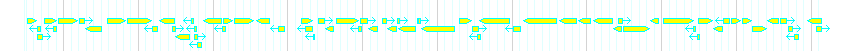 Genes detail