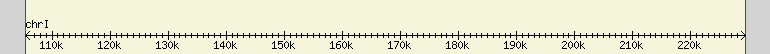 __scale__ region