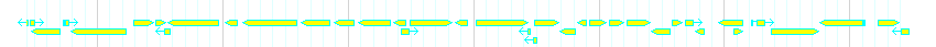 Genes detail