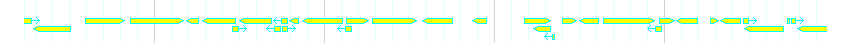 Genes detail