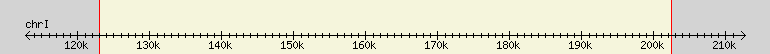 __scale__ region