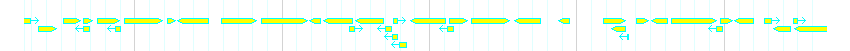 Genes detail