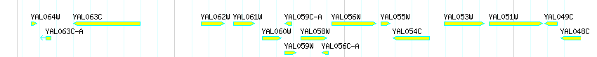 Genes detail