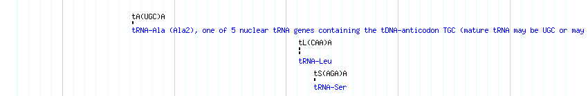 tRNAs detail