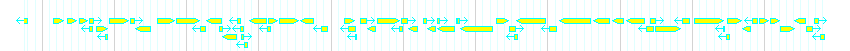 Genes detail
