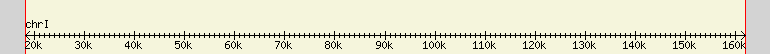 __scale__ region