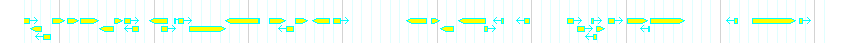 Genes detail