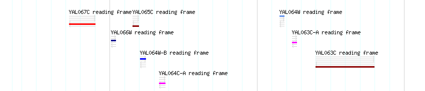 CDS detail