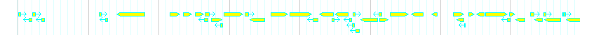 Genes detail