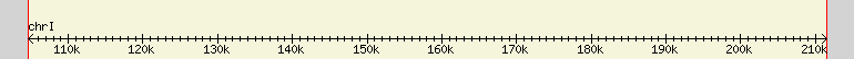 __scale__ region