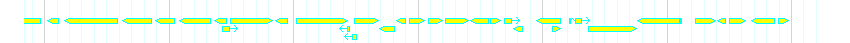 Genes detail
