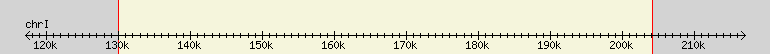 __scale__ region