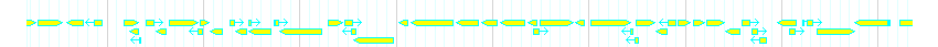 Genes detail