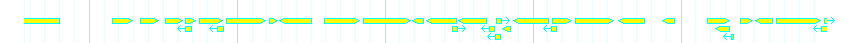 Genes detail