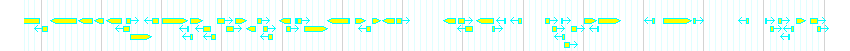 Genes detail