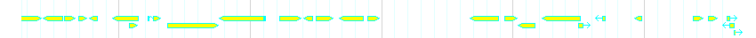 Genes detail