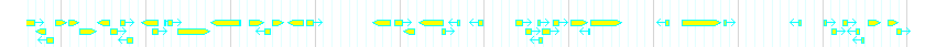 Genes detail