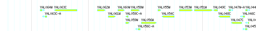 Genes detail