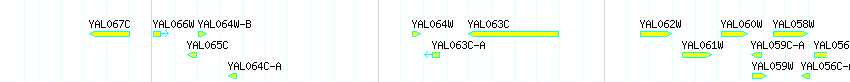 Genes detail