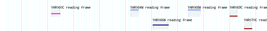 CDS detail
