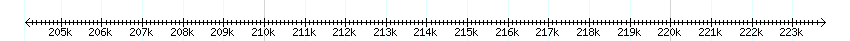 __scale__ detail