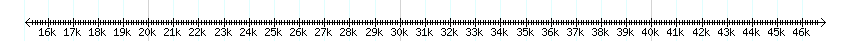 __scale__ detail