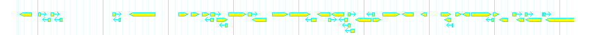 Genes detail