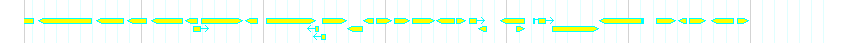 Genes detail
