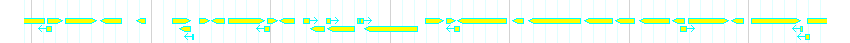 Genes detail