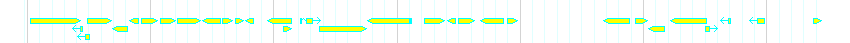 Genes detail