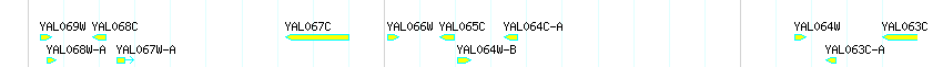 Genes detail