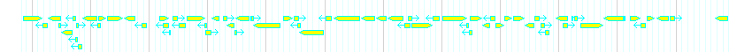 Genes detail