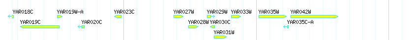 Genes detail