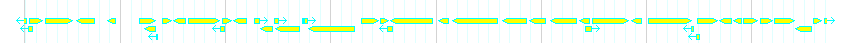 Genes detail