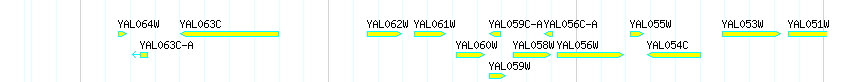 Genes detail