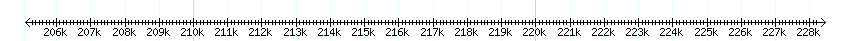__scale__ detail