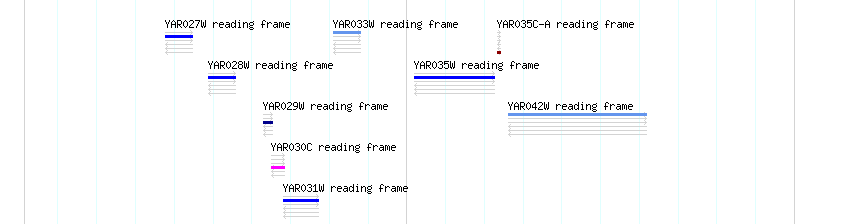 CDS detail