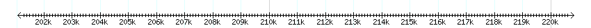 __scale__ detail
