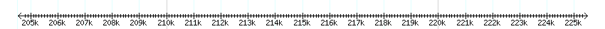 __scale__ detail