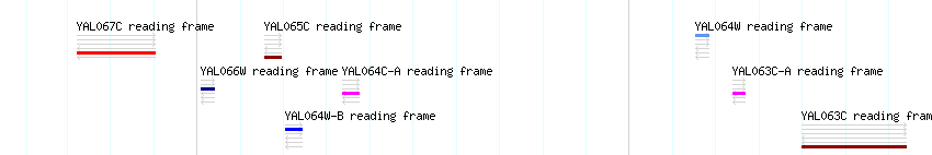 CDS detail