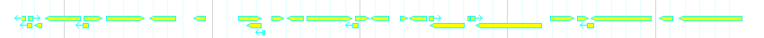 Genes detail