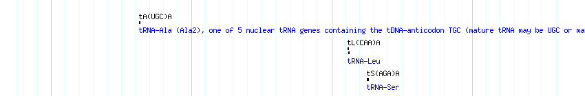 tRNAs detail