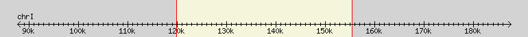 __scale__ region