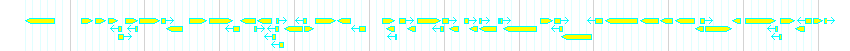 Genes detail