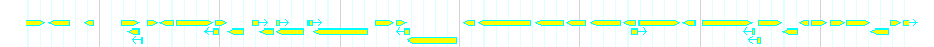 Genes detail