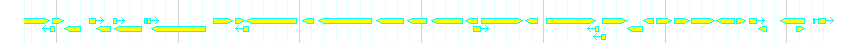 Genes detail