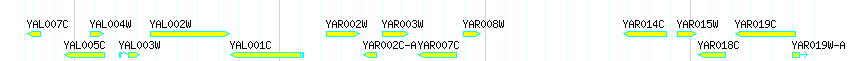 Genes detail